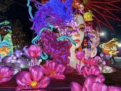 -淄博花灯齐彩城