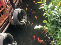 -优之名鹅城