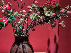 -小河盐帮·私家菜·烤鸭(三元桥·霄云路店)