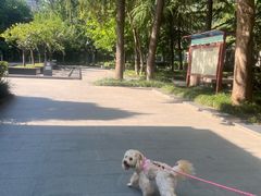 -木塔寺遗址生态公园
