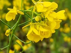 -同济大学(嘉定校区)