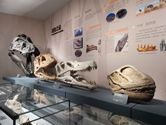 -自贡恐龙博物馆