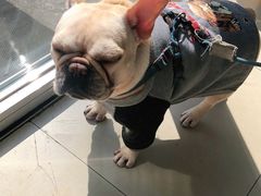 -宠福鑫康馨动物医院·骨科·眼科