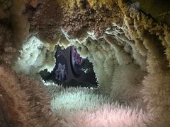 -湖南省地质博物馆