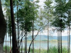 -尚湖风景区