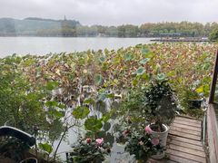 -湖畔居茶楼(湖滨店)