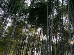 -十里琅珰
