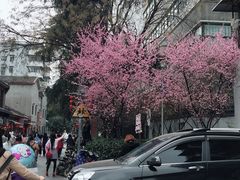 -边渡咖啡烘焙店(昙华林店)