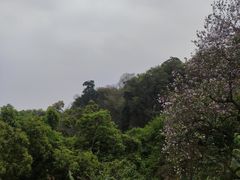 -广州市白云山风景名胜区