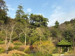 -云溪植物园