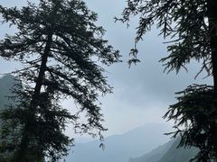 -峨眉山风景名胜区