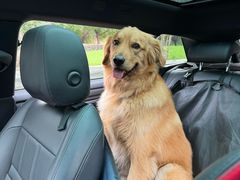 -它主义宠物(梁溪万达店)