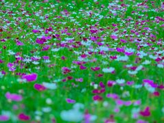 -北沙滩(地铁站)