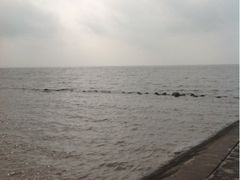 upload_pic-南汇嘴观海公园