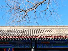 -北京国子监胡同