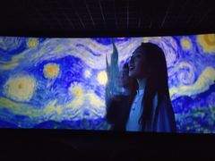 -万达影城(西铁营万达广场IMAX店)