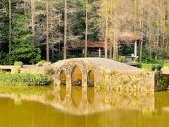 -深圳仙湖植物园