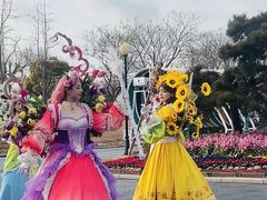 -荷兰花海