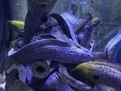 -成都浩海立方海洋公园