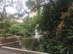 -九龙公园