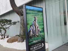 -罗红摄影艺术馆