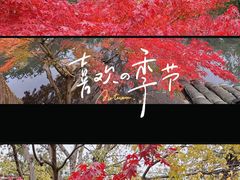 -拙政园