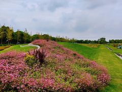 -嘉北郊野公园