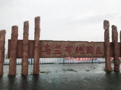 -乌兰布统草原