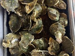 -土蚝·高压锅生蚝(百姓美食街店)