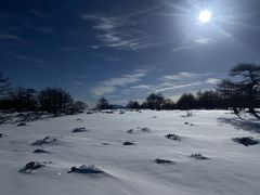 -秦岭风景区