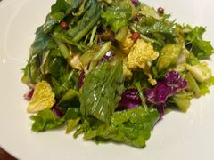 东北农家大拌菜-老长春肉馆(创业大街店)