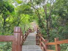 -广州市流溪河国家森林公园