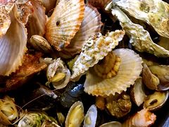 -大锅强·蒸海鲜青岛菜(吾悦广场店)