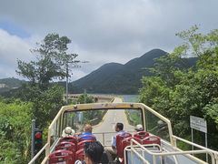 -Big Bus Tours 敞篷观光巴士