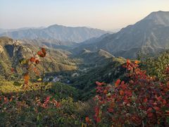 -大岭沟猕猴桃谷风景区