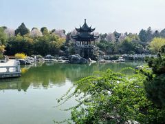 -花洲书院