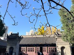 -万寿八仙宫