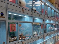 -FAELING PETS美天灵宠物(合生汇店)
