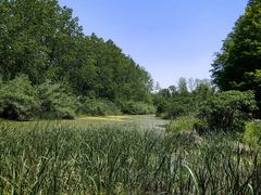 -溱湖国家湿地公园