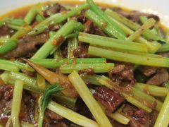 -大鸭梨烤鸭店(花园村店)