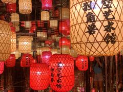 -深圳独角兽星空艺术馆