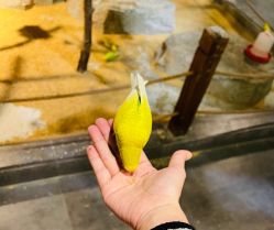 -酷嗒动物文化乐园(cutezoo西溪乐天城店)