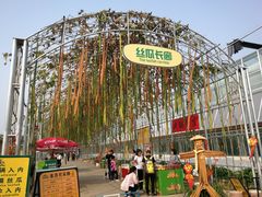 -北戴河集发农业梦想王国