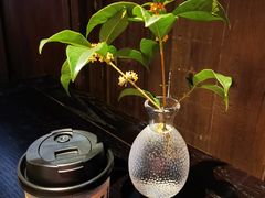 -朵云书院·广富林店