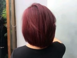 -MG Style Salon
