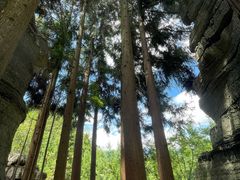 -梭布垭石林景区