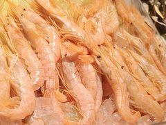 -星伦多自助料理·涮烤一体(江桥万达店)