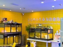 -神奇动物撸宠馆·羊驼·小浣熊·异宠(豫园店)