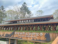 -熊猫主题餐厅