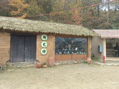 -千年银杏谷文化旅游区